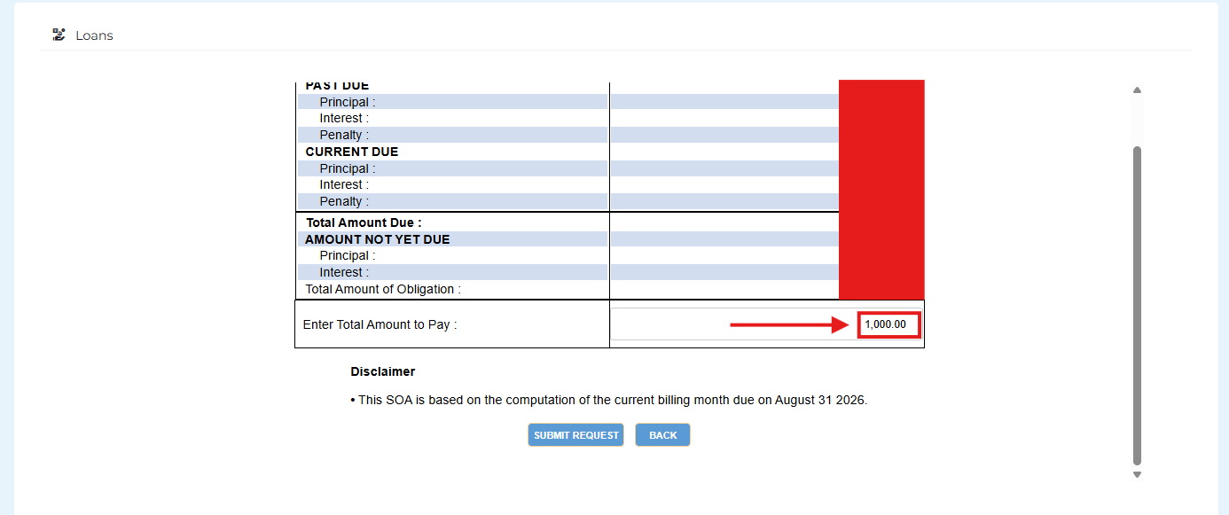 Statement of Account screen with the Enter Total Amount to Pay field highlighted